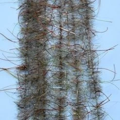 EP WOOLY CRITTER BRUSH -Best Fishing Sale 0BU WO SC 1 300x300 1