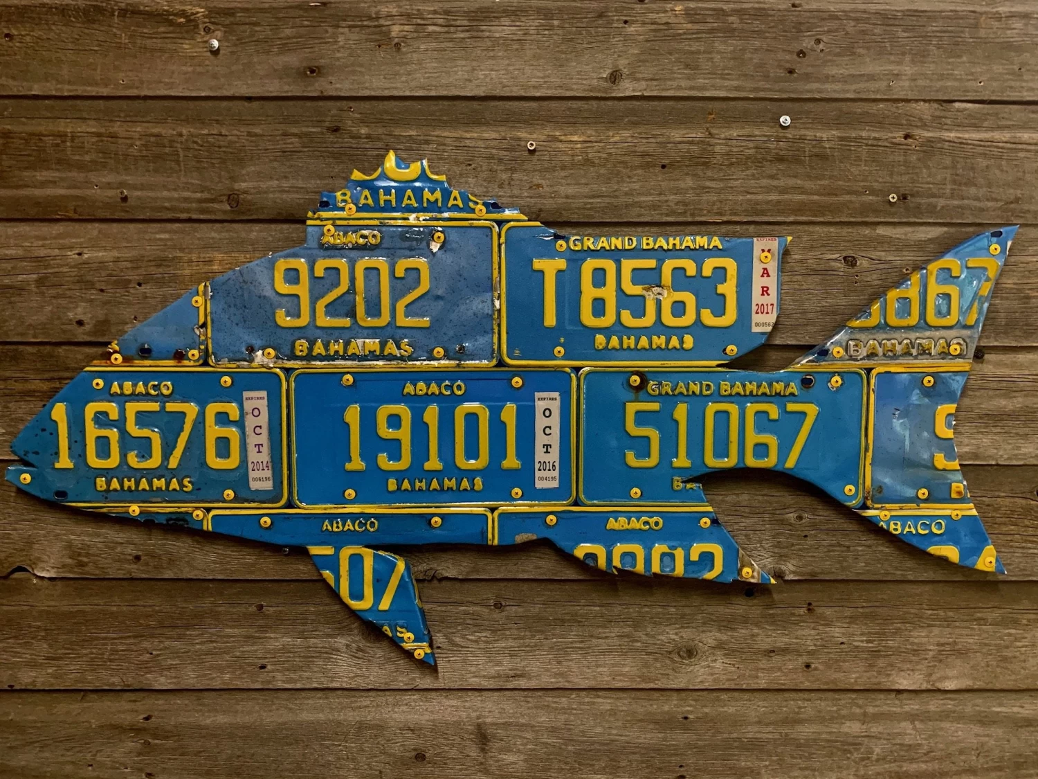 Cody Richardson Art - Bahamas Mutton Snapper License Plate Art 1 Cody Richardson Art - Bahamas Mutton Snapper License Plate Art