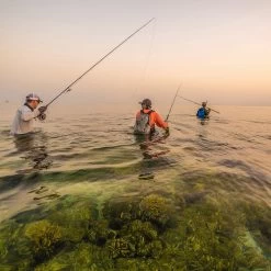 Patagonia River Salt Wading Boots -Best Fishing Sale 231 patagonia river salt wading boots feather grey 09