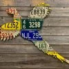 Cody Richardson Art - Iowa Pheasant License Plate Art