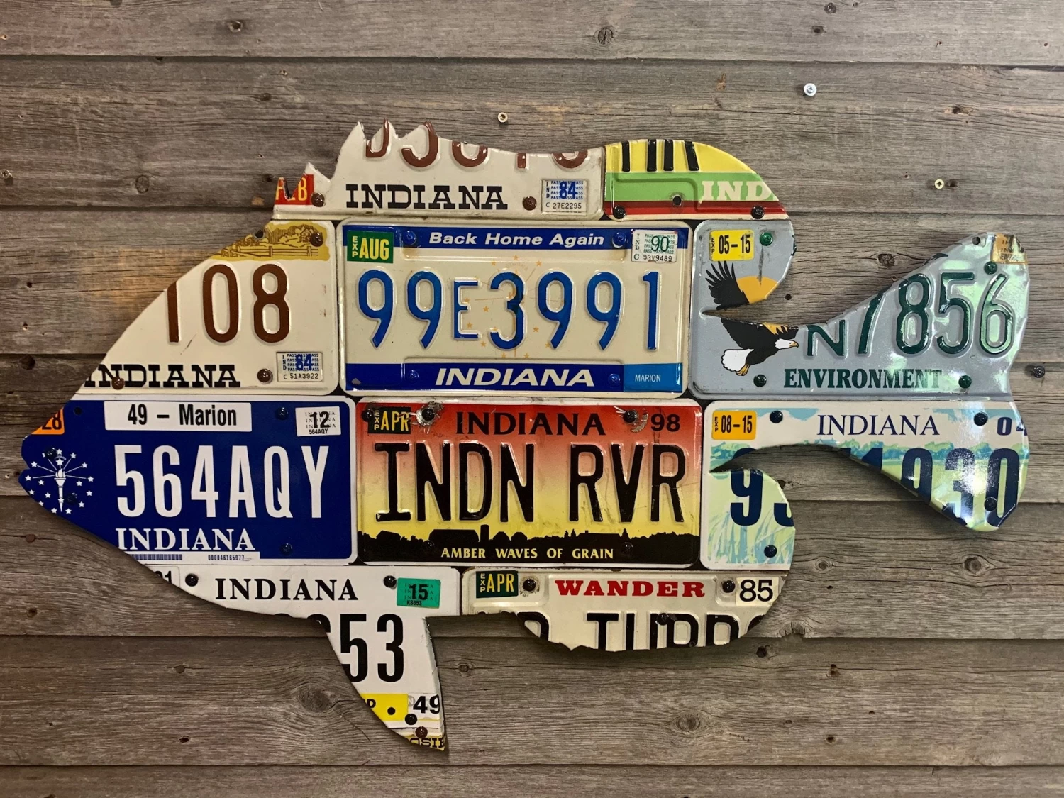 Cody Richardson Art - Indiana Sunfish License Plate Art 1 Cody Richardson Art - Indiana Sunfish License Plate Art