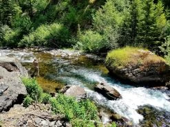 Dry Fly Strategies - Paul Weamer -Best Fishing Sale 9780811739535 il 1 40a87