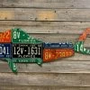 Cody Richardson Art - Florida Mahi Mahi License Plate Art