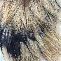 Whiting CDL Tailing Pack -Best Fishing Sale CDL Lite ginger