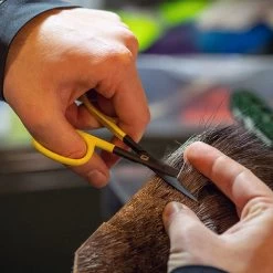 Loon Outdoors LOON ERGO HAIR SCISSORS 9 Loon Outdoors LOON ERGO HAIR SCISSORS -Best Fishing Sale Ergo Hair Scissors alt 3 1000x 39e2965d 92bd 4c06 881a b0fdb0e2a4d9