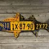 Cody Richardson Art - New York Striped Bass License Plate Art