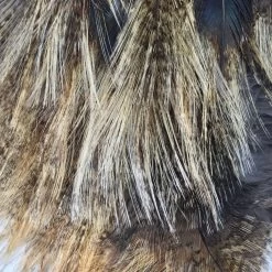 Whiting CDL Tailing Pack -Best Fishing Sale IMG 6094