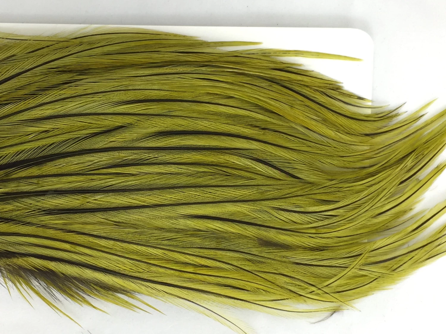 Whiting Bugger Pack 10 Whiting Bugger Pack - Image 10