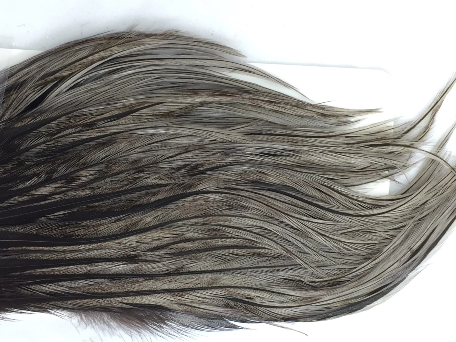 Whiting Bugger Pack 12 Whiting Bugger Pack - Image 12