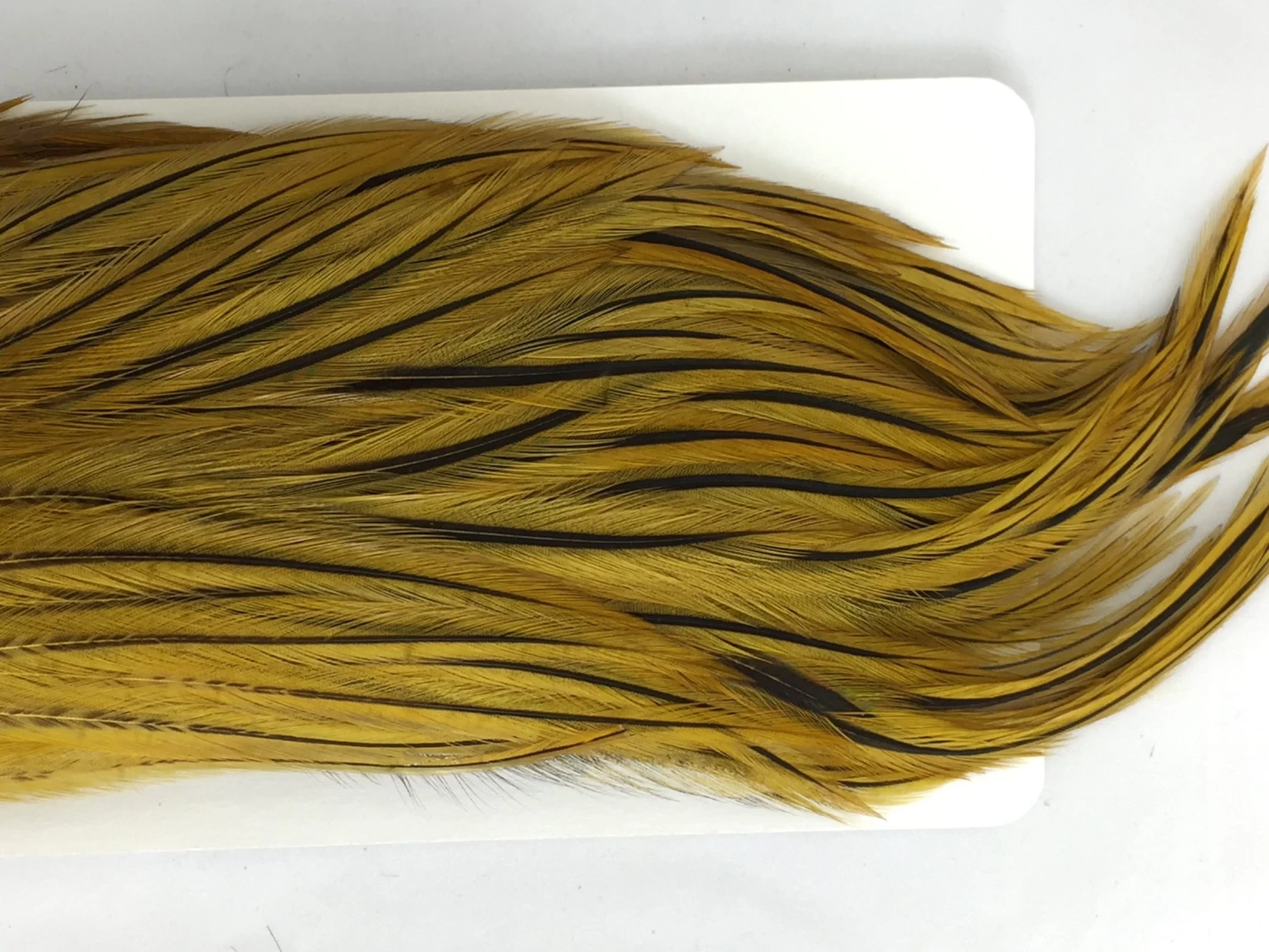 Whiting Bugger Pack 13 Whiting Bugger Pack - Image 13