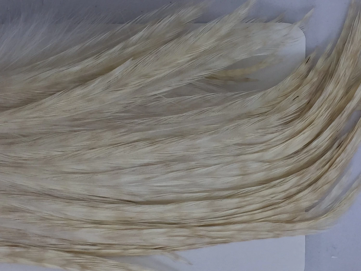 Whiting Bugger Pack 17 Whiting Bugger Pack - Image 17