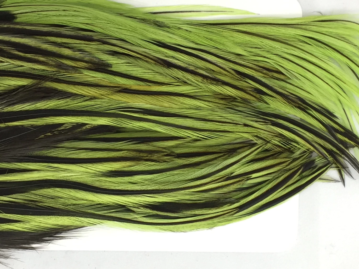 Whiting Bugger Pack 14 Whiting Bugger Pack - Image 14