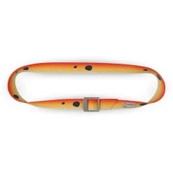 Wingo Basecamp Belt 19 Wingo Basecamp Belt -Best Fishing Sale RedfishBasecampBelt2 590x 713401e3 1fd9 4c6f ad0e 73d33521dcaa