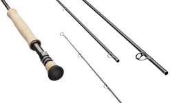 Sage R8 Fly Rod - 896-4 - 8wt 9ft 6in 4 Pc 9 Sage R8 Fly Rod - 896-4 - 8wt 9ft 6in 4 Pc -Best Fishing Sale Sage R8 CORE Group Fighting Butt 9c2bde5b a778 4f76 b9cd ccf6326d5e0a
