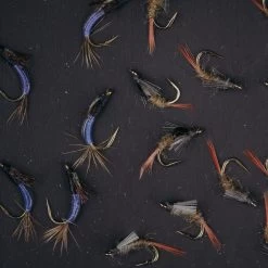 UMPQUA UPG FOAM MAGNETO MINI FLY BOX 7 UMPQUA UPG FOAM MAGNETO MINI FLY BOX -Best Fishing Sale UFM04778 09421.1681233906