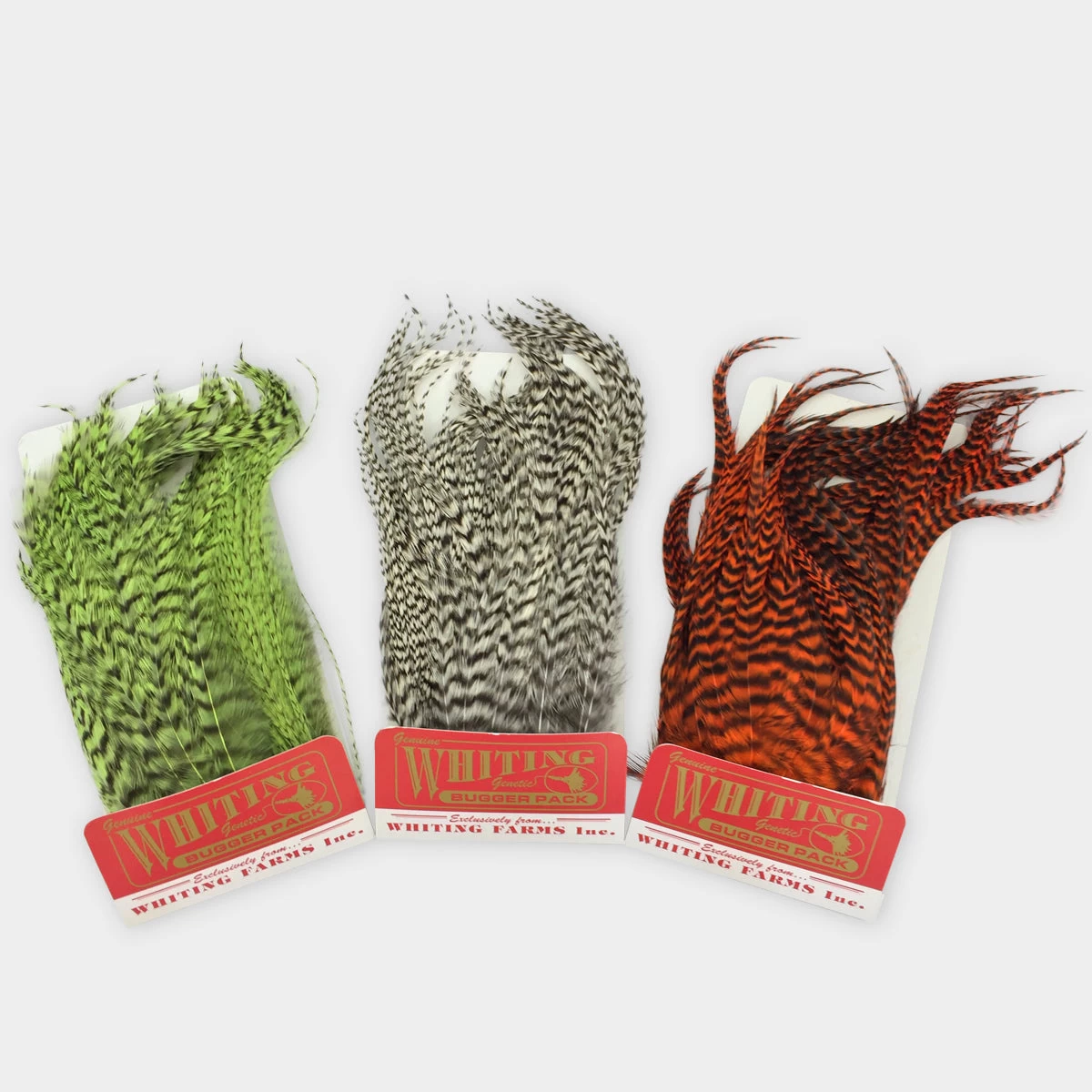 Whiting Bugger Pack 1 Whiting Bugger Pack