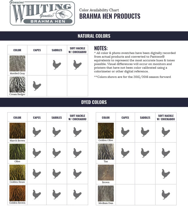 Whiting Brahma Hen Cape 2 Whiting Brahma Hen Cape - Image 2