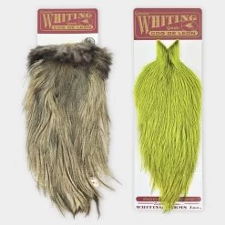 Whiting Coq De Leon Cape