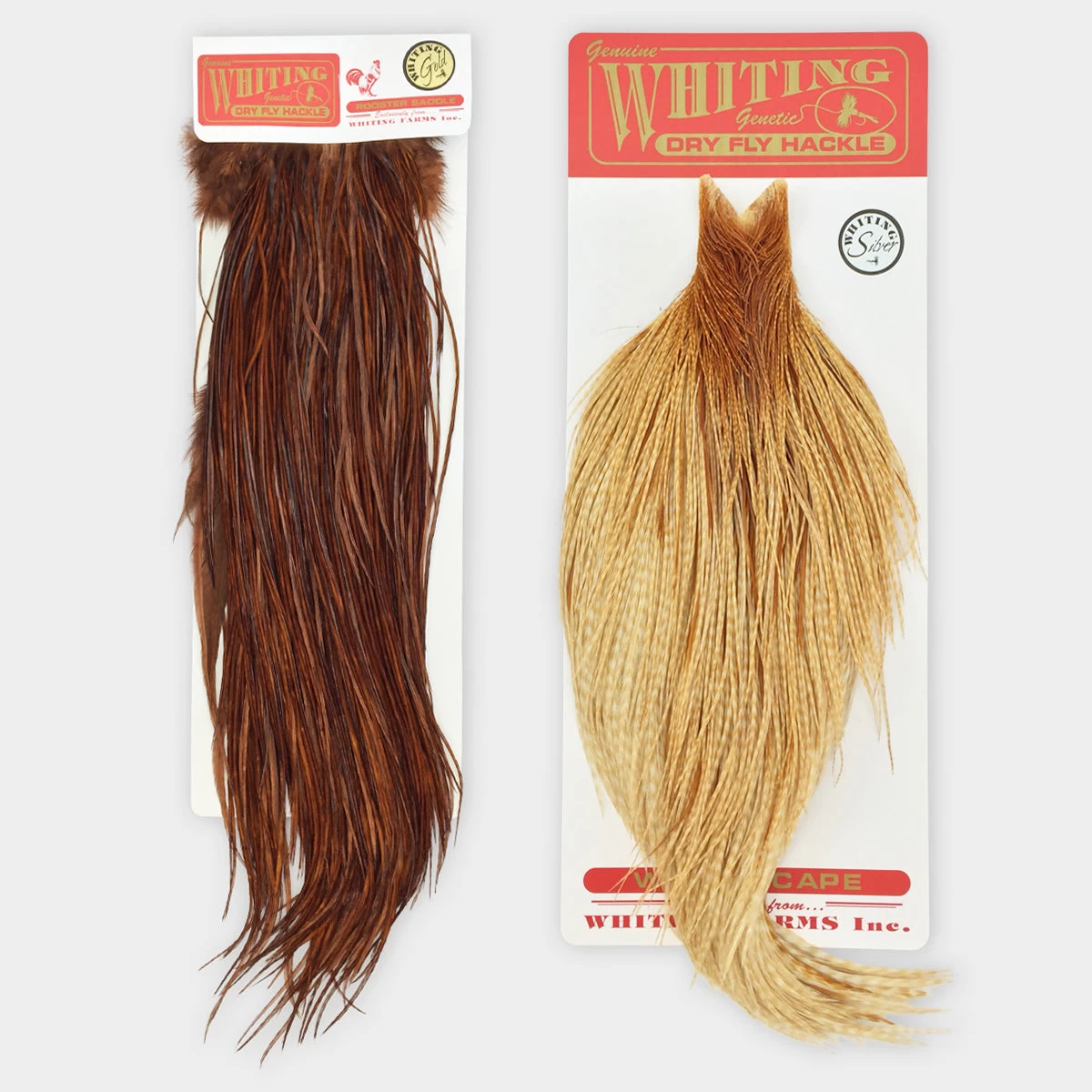 Whiting Bronze Saddle 1 Whiting Bronze Saddle