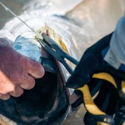 Loon Outdoors Loon Apex Needle Nose Plier -Best Fishing Sale apex needlenose pliers 2 1000x 6819d4f7 0397 498a 8d60 442be444e783