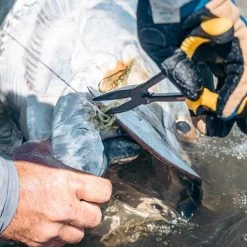 Loon Outdoors Loon Apex Needle Nose Plier -Best Fishing Sale apex needlenose pliers 4 1000x 3778a51b 7c68 4565 b19b 54f94f32f667