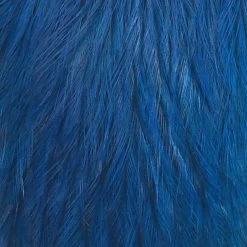 Whiting CDL Tailing Pack -Best Fishing Sale cdl badger king blue