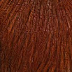 Whiting CDL Tailing Pack -Best Fishing Sale cdl burnt orange