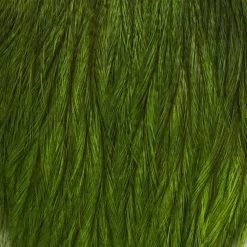 Whiting CDL Tailing Pack -Best Fishing Sale cdl fl green chart