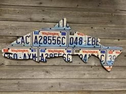 Cody Richardson Art - Washington Steelhead License Plate Art