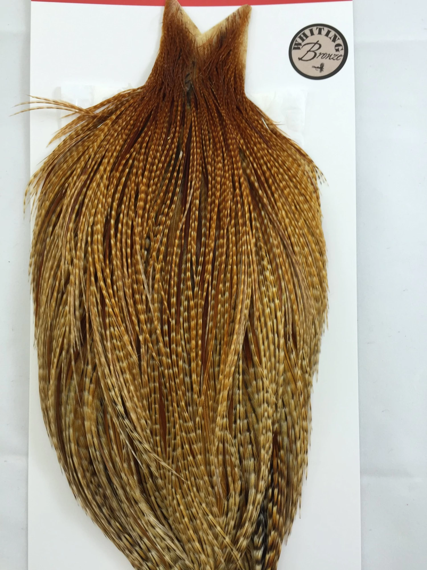 Whiting Bugger Pack 20 Whiting Bugger Pack - Image 20