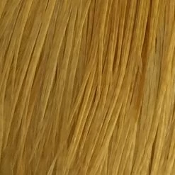 Whiting 100 Pack Size 10 -Best Fishing Sale white dye golden straw