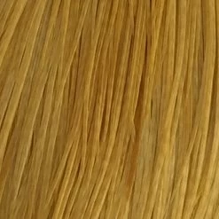 Whiting 100 Pack Size 10 -Best Fishing Sale white dye golden straw 2d21399a 2eb1 4ee8 9a0c 526e3ab04dc2